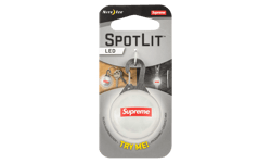 SpotLit Keychain